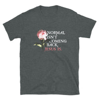 Thumbnail for Normal Isn't Coming Back Jesus Is Unisex T-Shirt